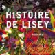 Stephenking Histoire De Lisey