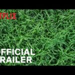 Dansleshautesherbes Inthetallgrass Trailer Stephenking Joehill