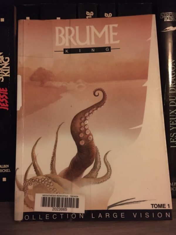 Brume Stephenking Largevision Tome1