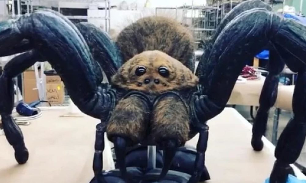 Creepshow Season 2 Spider