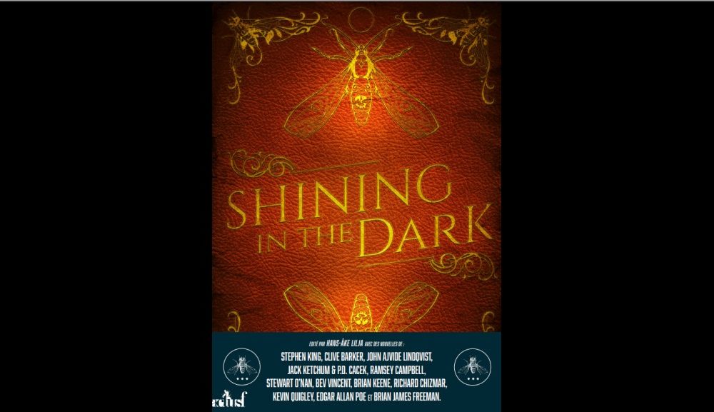 Shininginthedark Livre Stephenking Lilja V2 Header
