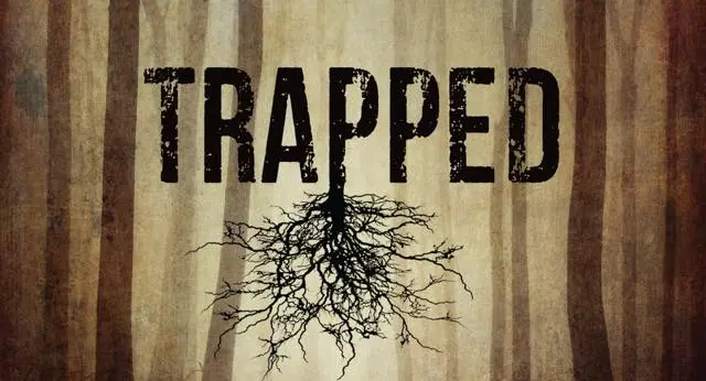 Richard Chizmar Trapped Stephenking Cover