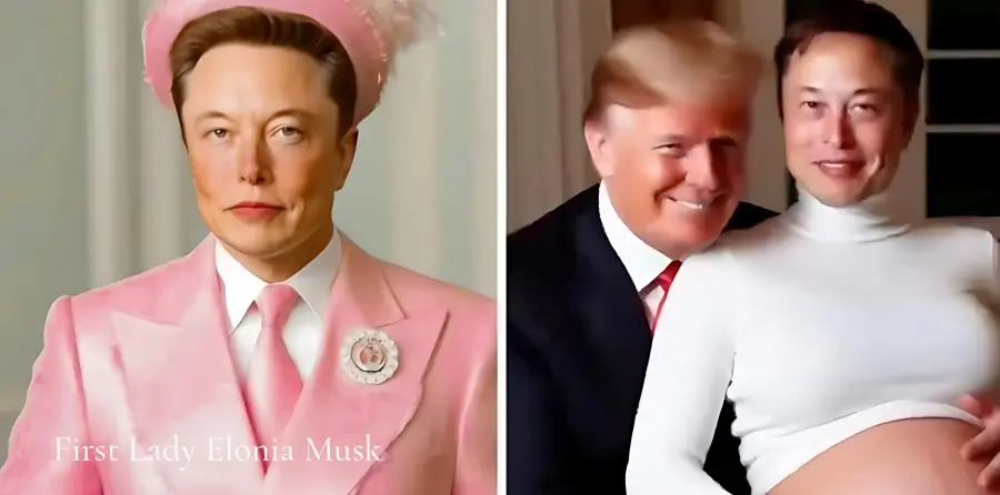 Elonmusk Firstlady Meme