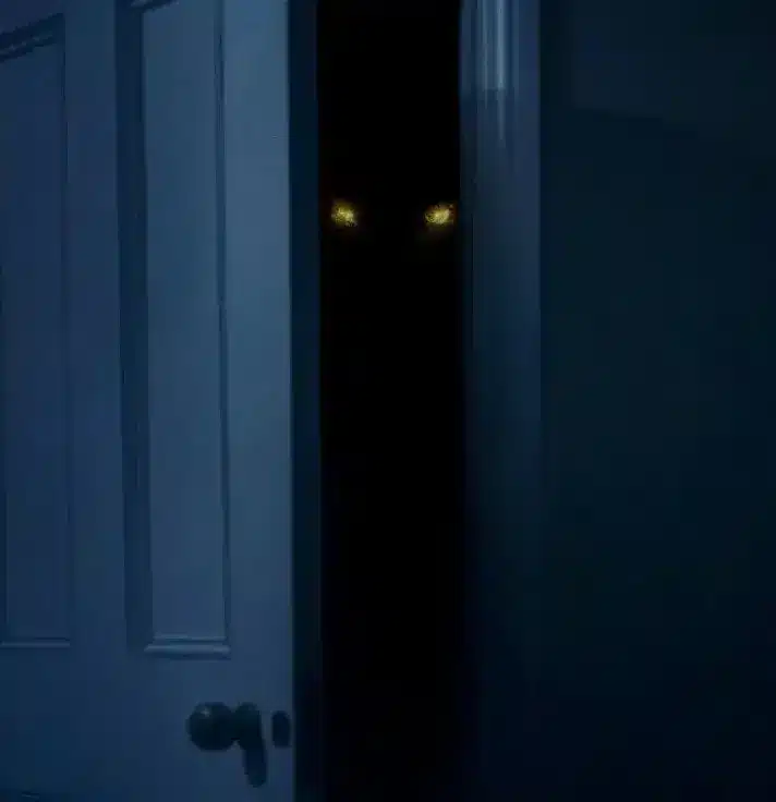 Lecroquemitaine Theboogeyman Stephenking Belin