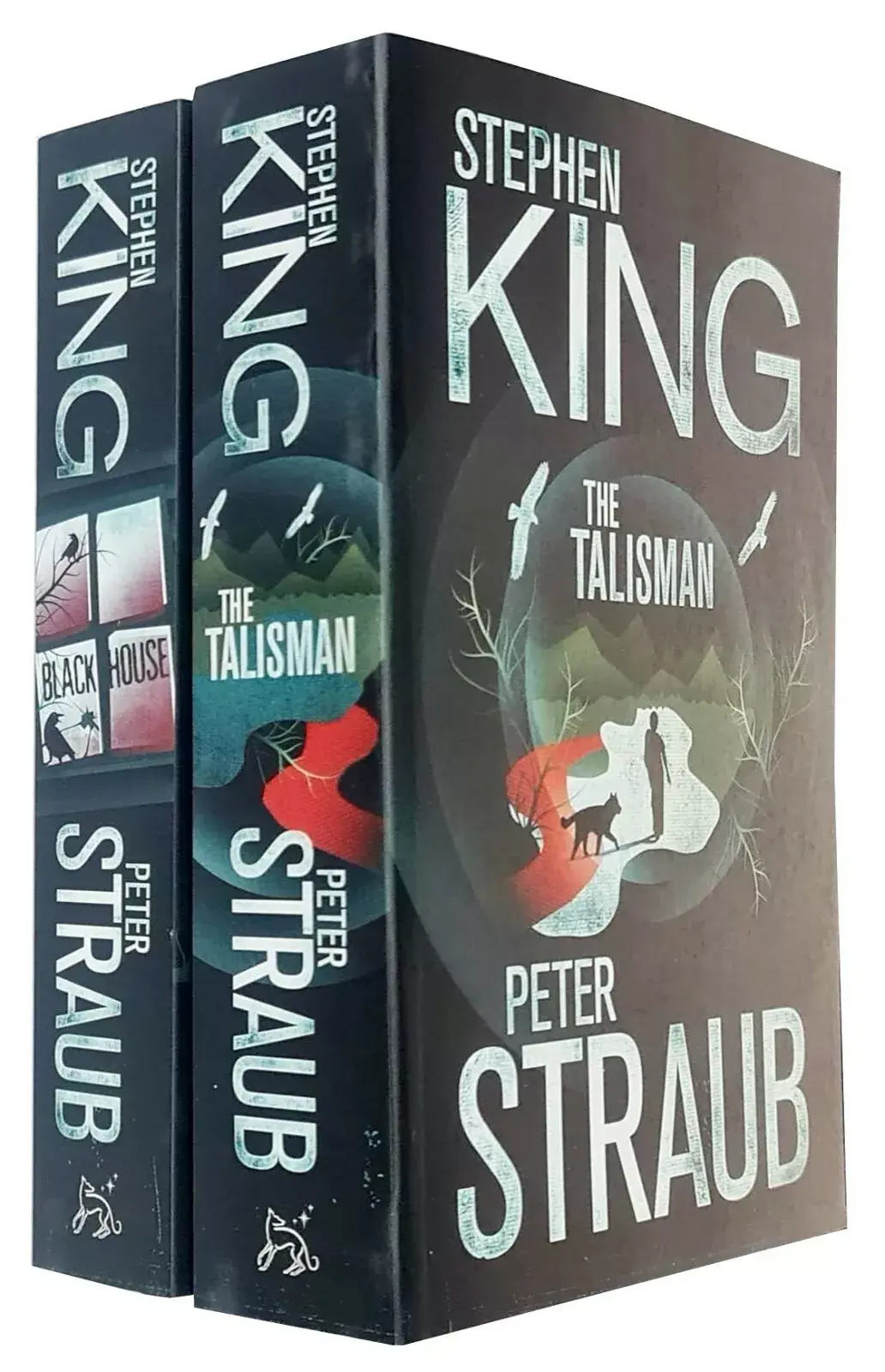 Stephenking Territoires Nouvelle Couverture Albinmichel 2025 01