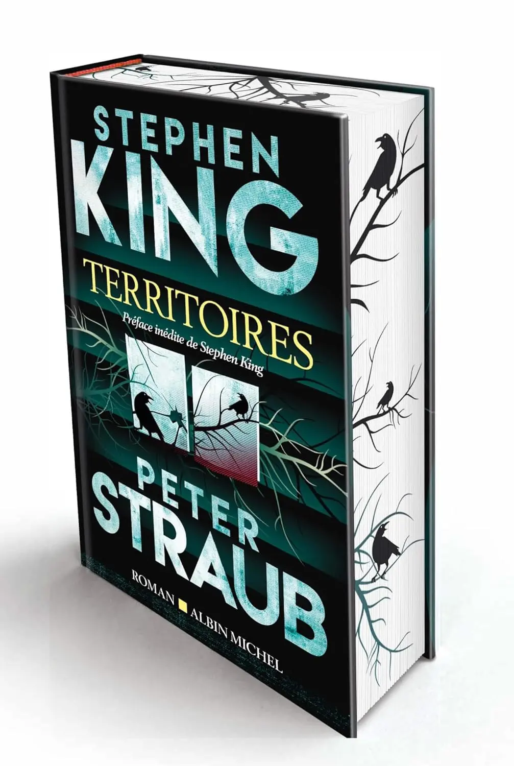 Stephenking Territoires Vraie Couv Albinnouvelle Couverture Albinmichel 2025 02