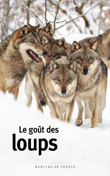 Legoutdesloups Stephenking Couverture Mercuredefrance