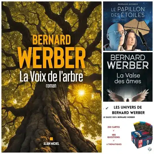 Bernardwerber Sorties 2025