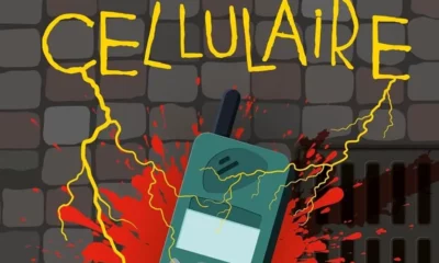 Cellulaire Stephenking Livredeoche Cover