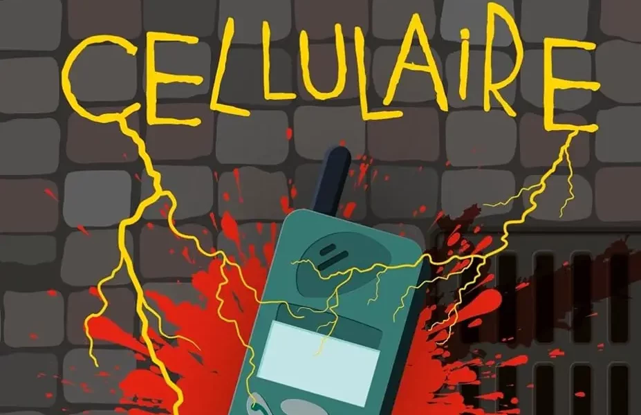 Cellulaire Stephenking Livredeoche Cover