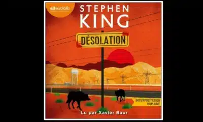 Desolation Stephenking Livre Audio Cover
