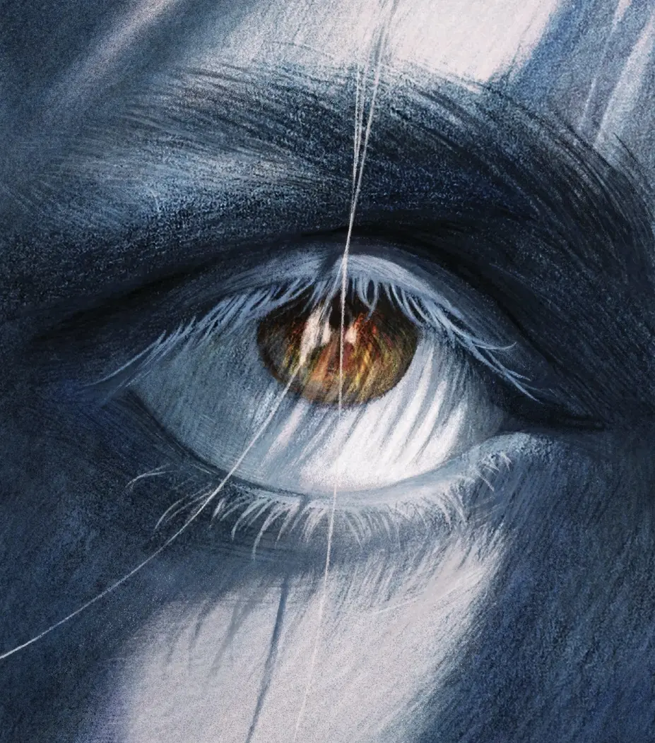 Dinahshat Nouvelle Inedite Stephen King Theatlantic Illustration