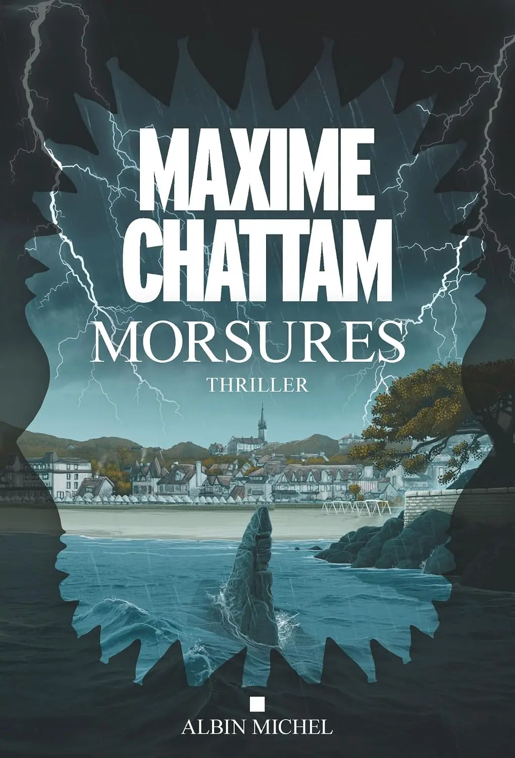 Morsures Roman Maxime Chattam Couverture Albinmichel