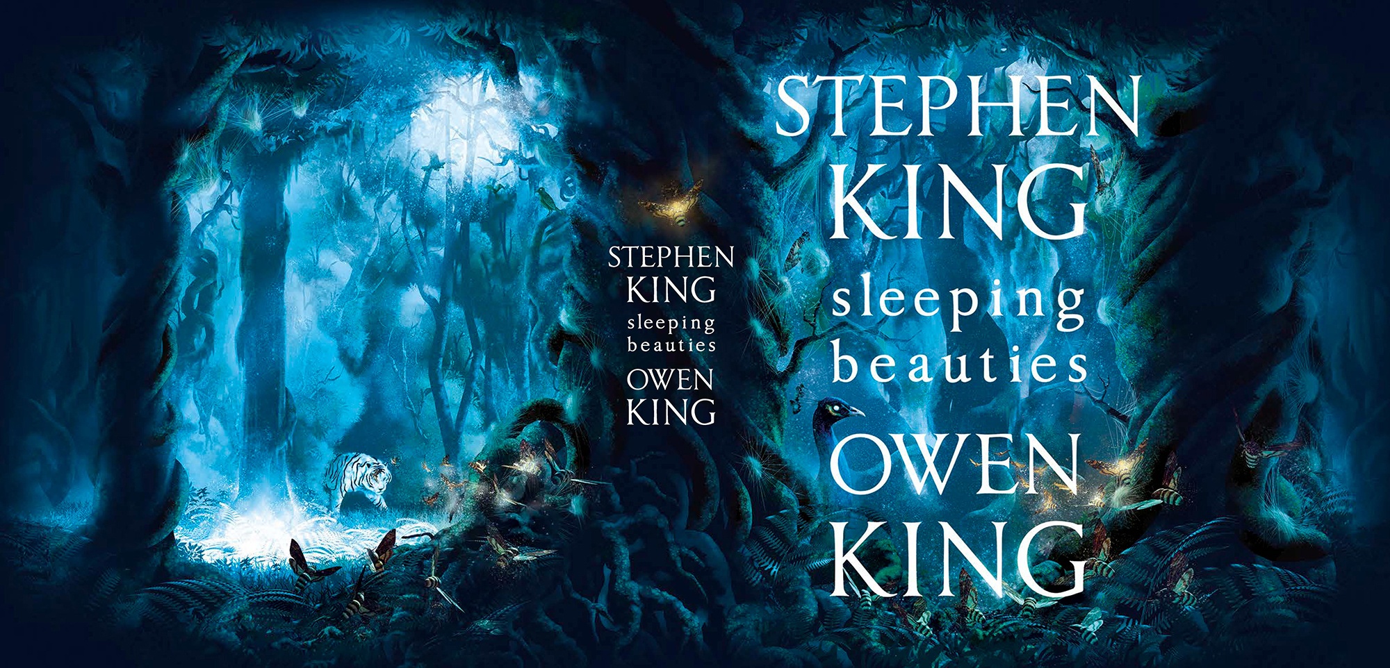 [Sleeping Beauties Stephen King Owen King Full UK Jacket hodder]